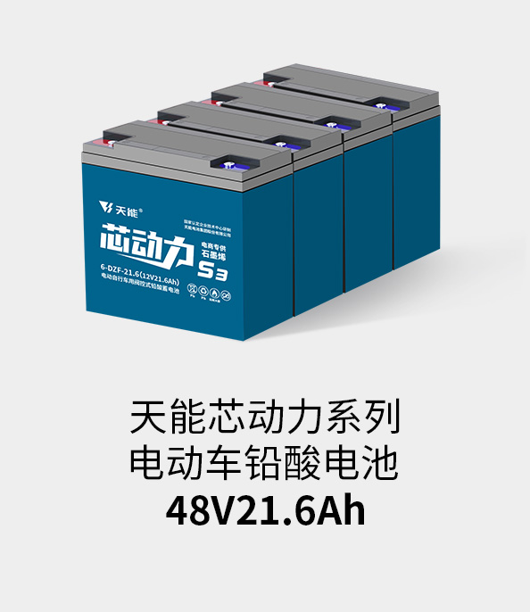 拉斯维加斯9888电池48v20ah