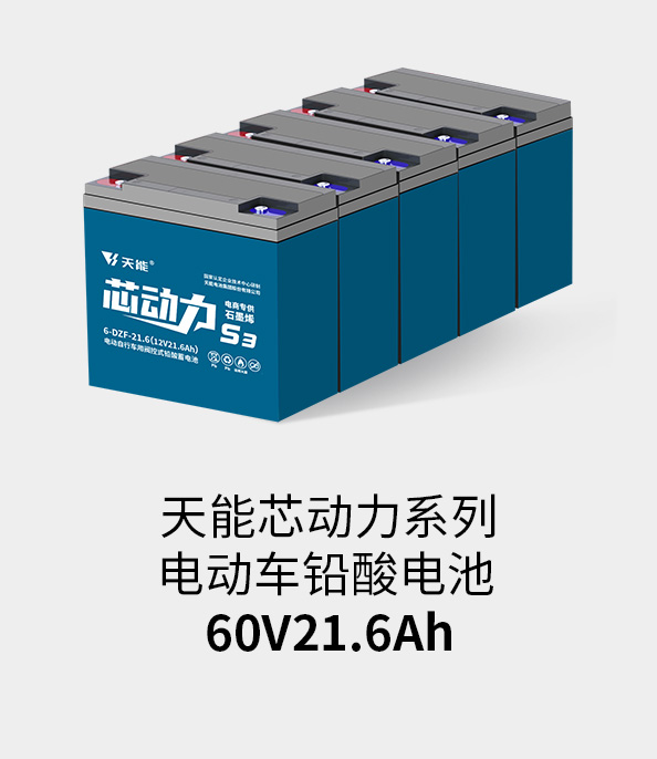 拉斯维加斯9888电池60v20ah