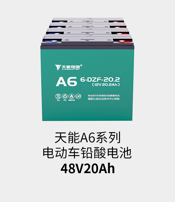 拉斯维加斯9888电池48v20ah