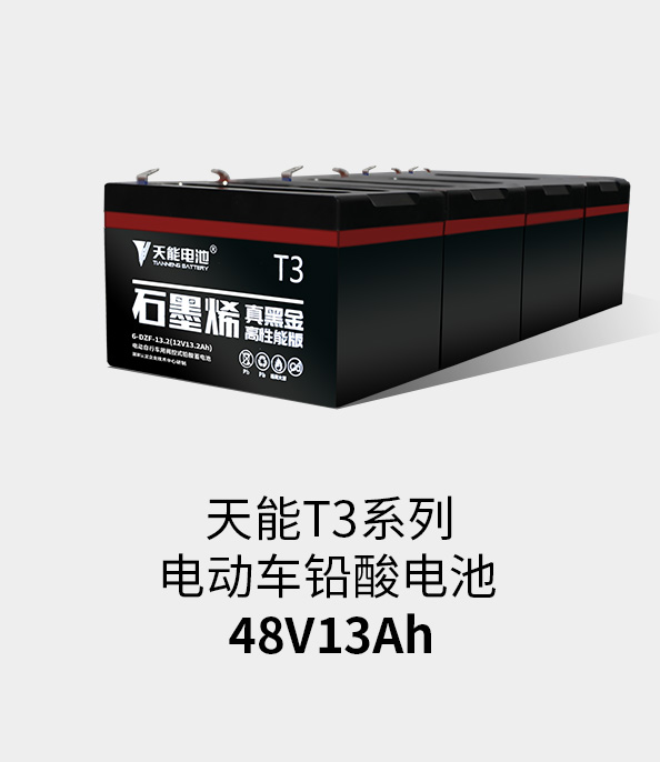 拉斯维加斯9888T3系列48v13ah