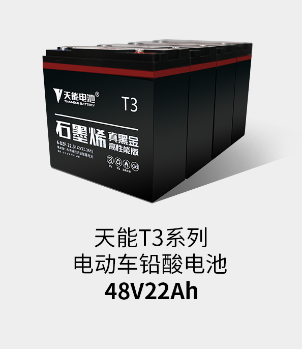 拉斯维加斯9888T3系列48v22ah