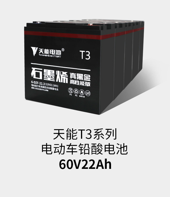 拉斯维加斯9888T3系列60v22ah