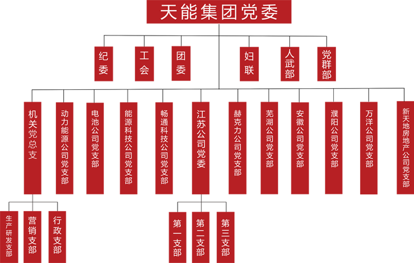 拉斯维加斯9888建团党委组织架构
